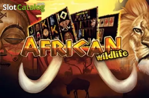 African Simba Slot Review