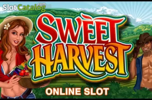 Sweet Bonanza Xmas Slot Review